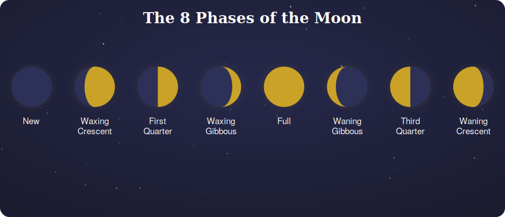 Chart showing the 8 phases of the moon in order from new moon to waning crescent