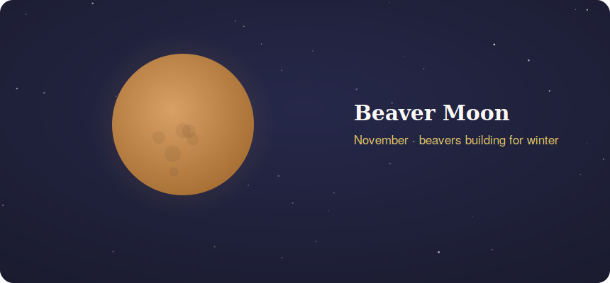 Amber beaver moon November full moon when beavers build for winter