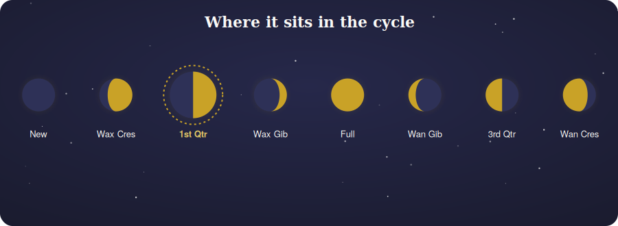 Diagram of the eight moon phases highlighting the first quarter position