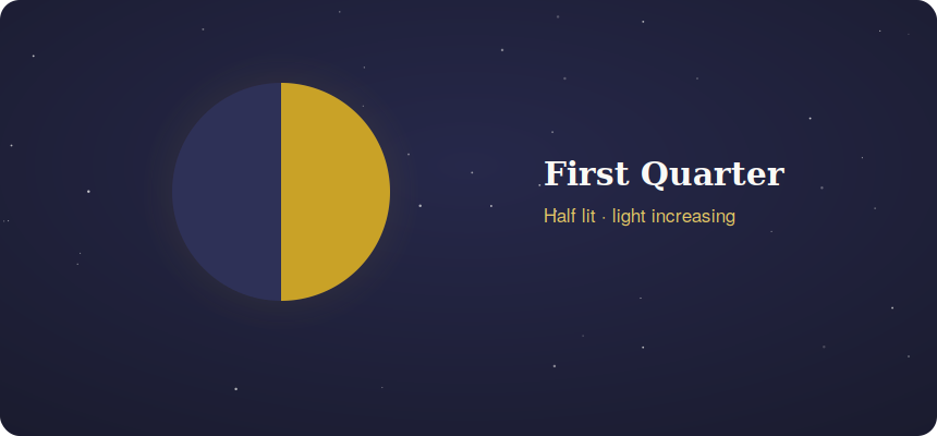 First quarter moon with exactly half the disc lit and light increasing