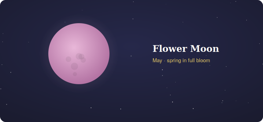 Pink flower moon May full moon of spring blooms