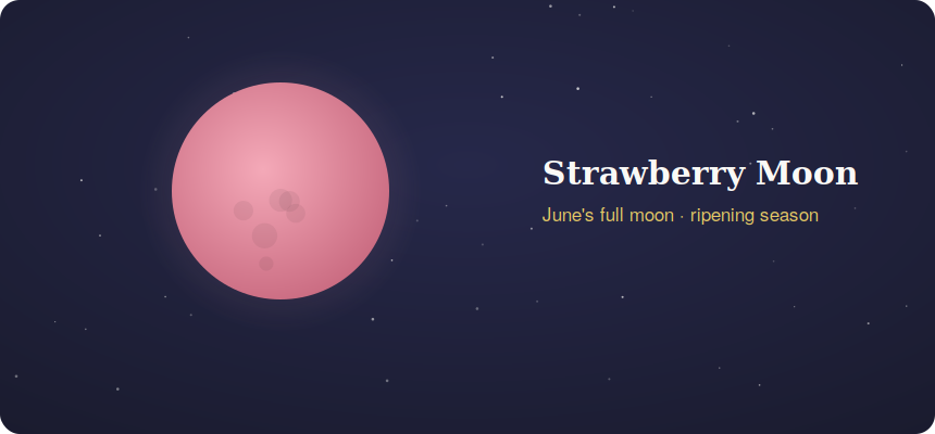 Pink strawberry moon June full moon of the ripening season
